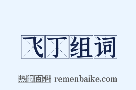 飞丁组词是什么意思的图片